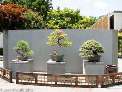 Display
